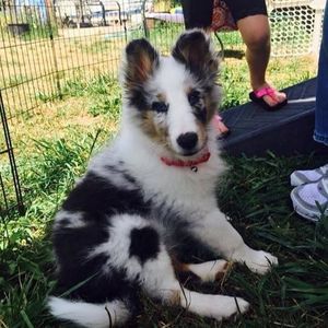 Meet your Posher, Vicki